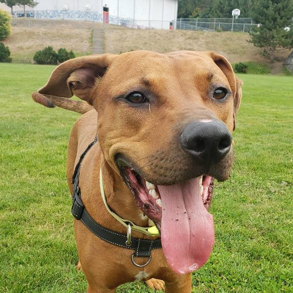 Meet your Posher, Natacha - Picture 1 of 1